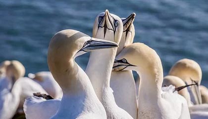 北京的 IT 崩盘了么？