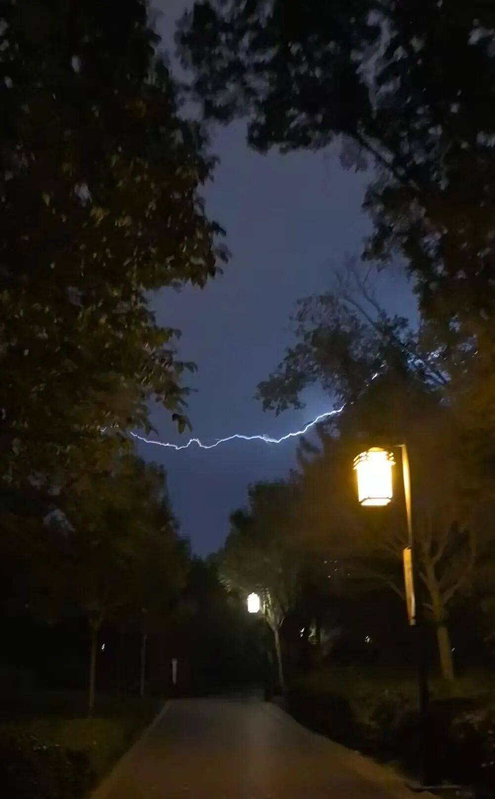 知名女主持人自曝:我雷暴哮喘了!太原这家医院急诊数小时内曾接诊400多人,近期高发