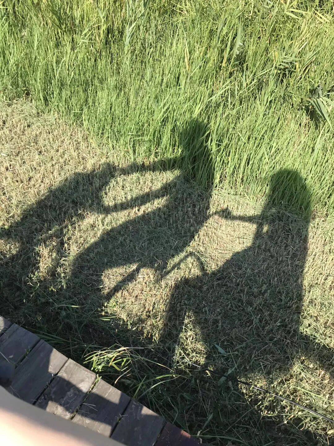 纸质火车票退场，每道折痕里都藏着远方、爱情与山河记忆