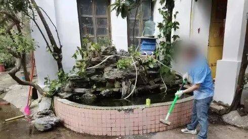 一池积水，一家四人全感染！江门各地曝光一批警示案例