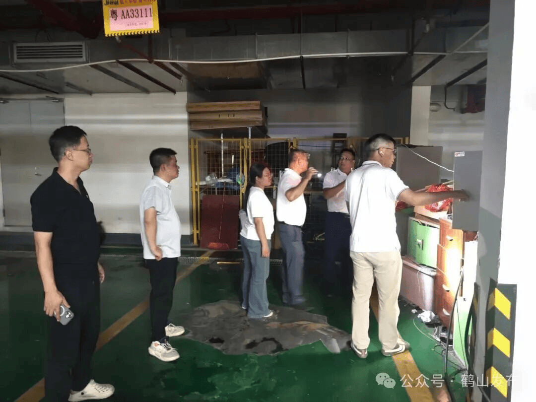 一池积水，一家四人全感染！江门各地曝光一批警示案例