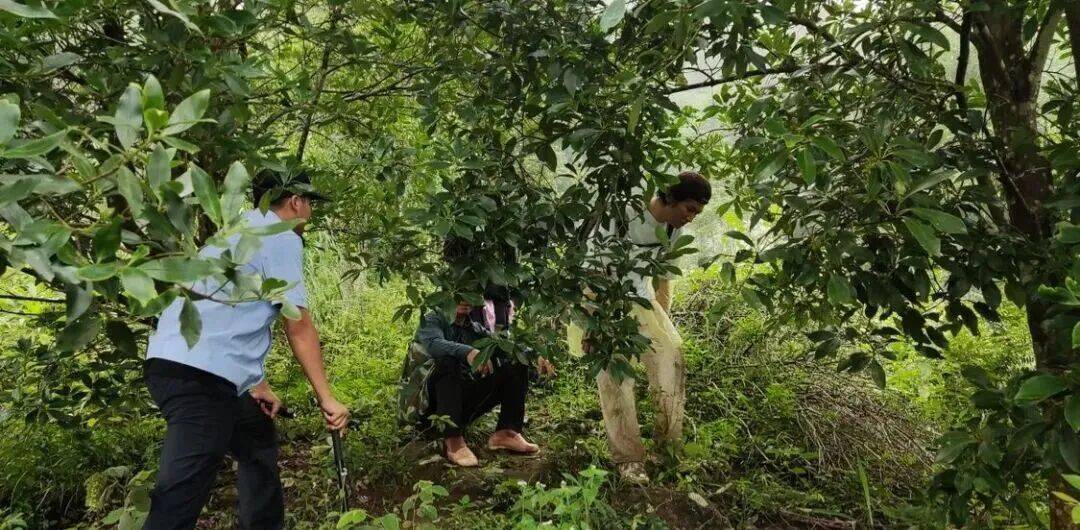 【气象科普】观日出，风景背后要避开这些风险！