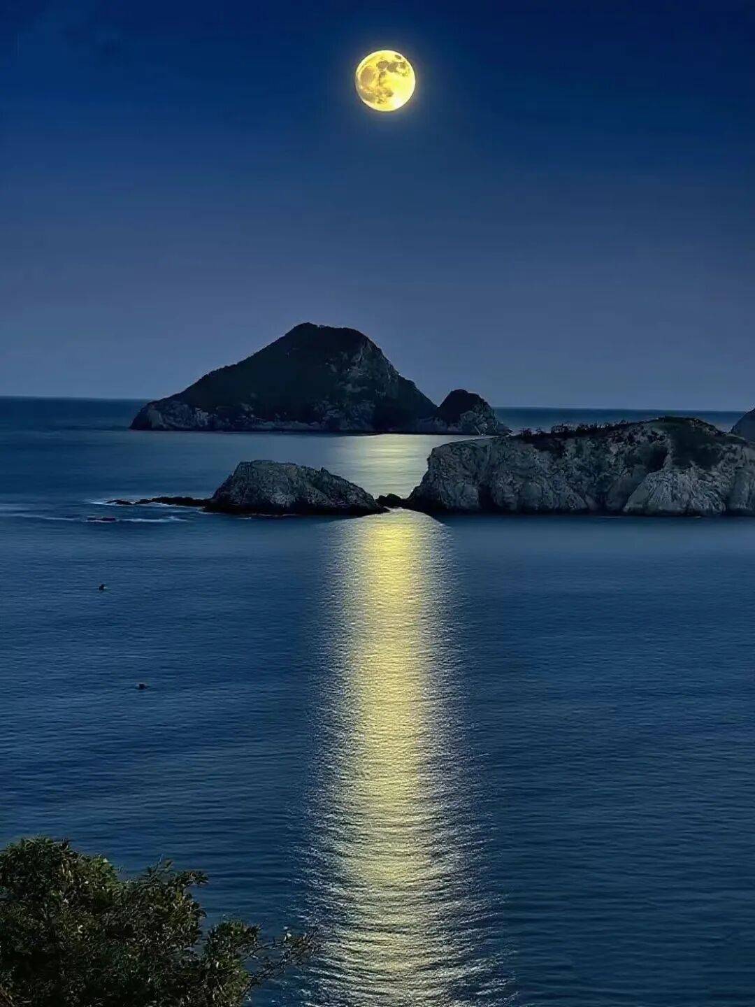 超级月亮邂逅中秋！宁德新晋赏月地大盘点，快收藏→