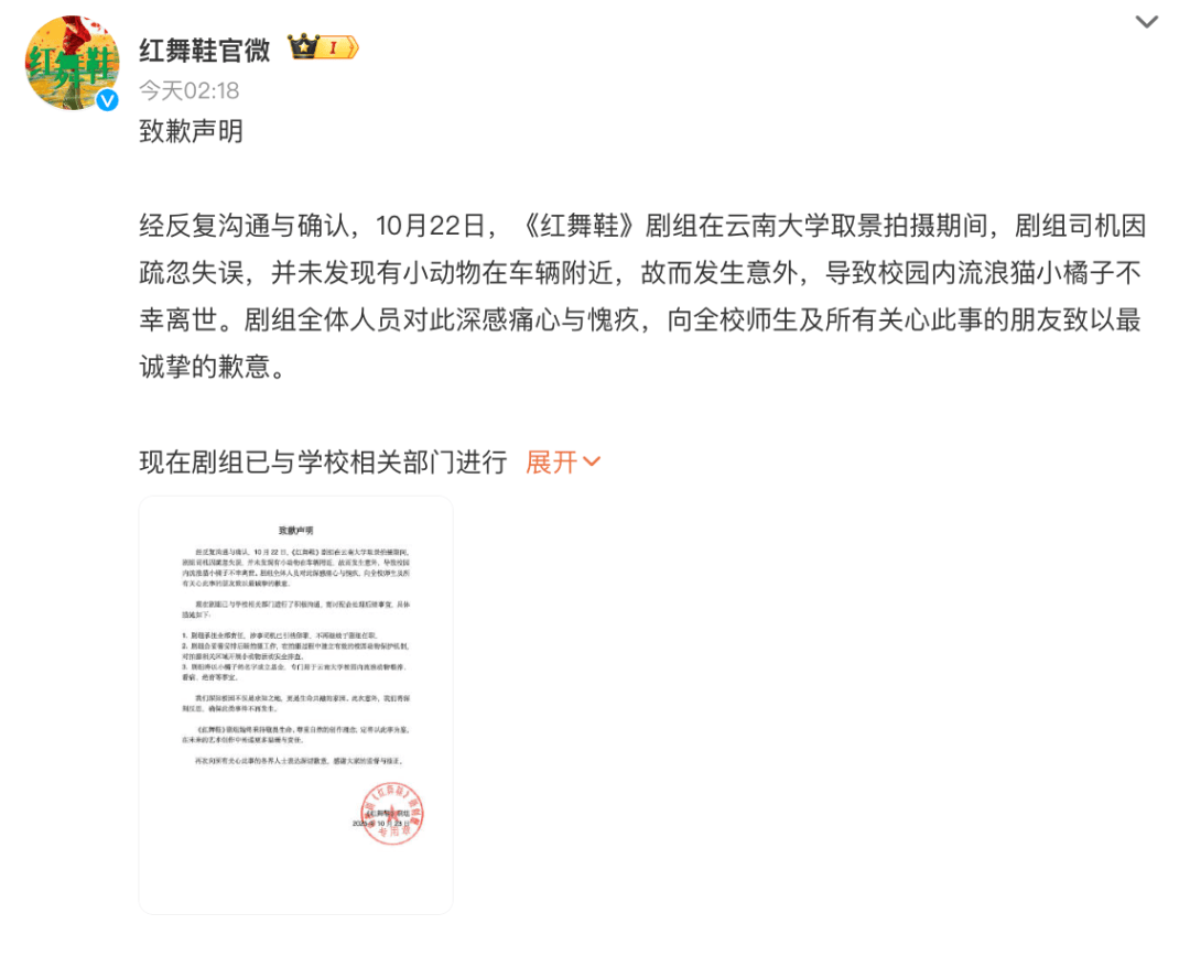 “小橘子”不幸离世,剧组凌晨紧急道歉,涉事司机引咎辞职!