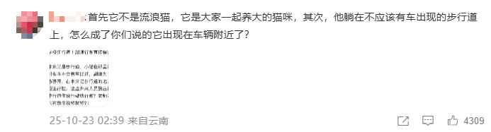 “小橘子”不幸离世,剧组凌晨紧急道歉,涉事司机引咎辞职!
