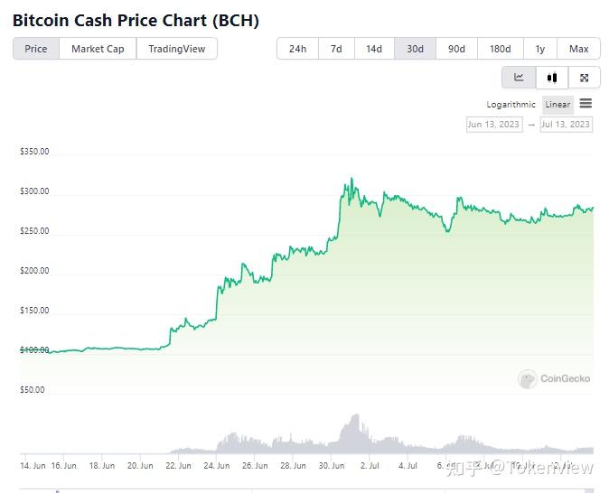 BCH投资(bch纠错码)
