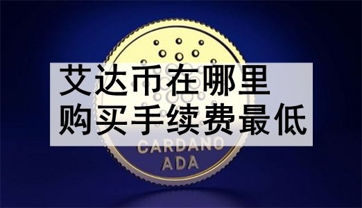 艾达币网站(艾达币app)