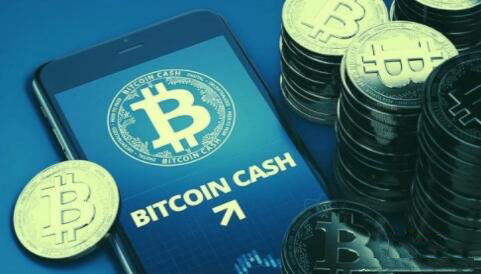 比特现金APP下载(比特现金app下载官网)