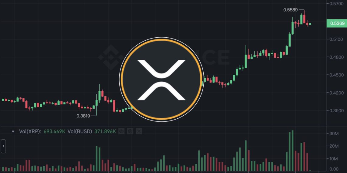 XRP-瑞波币网站(xrp瑞波币官网app)