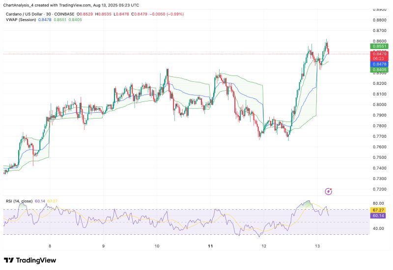 ADA-艾达币投资(艾达币可以长期持有吗)