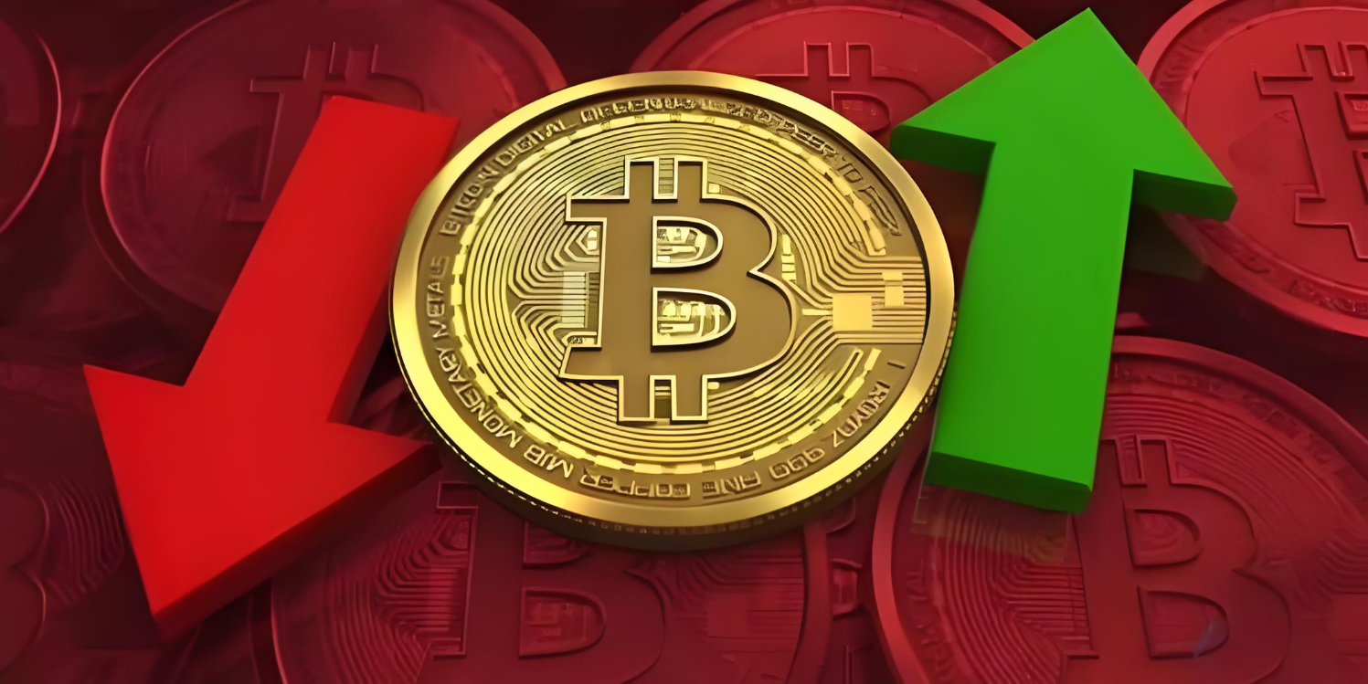 BITOP投资(比特币btc投资) BITOP投资(比特币btc投资)