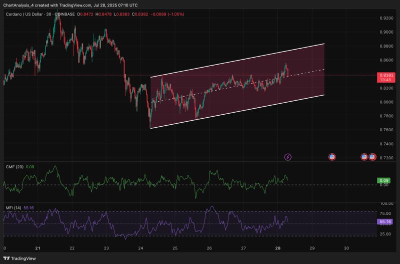 艾达币投资(艾达币长期投资怎么样) 艾达币投资(艾达币长期投资怎么样)